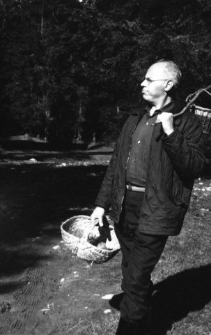 1967 collecting mushrooms